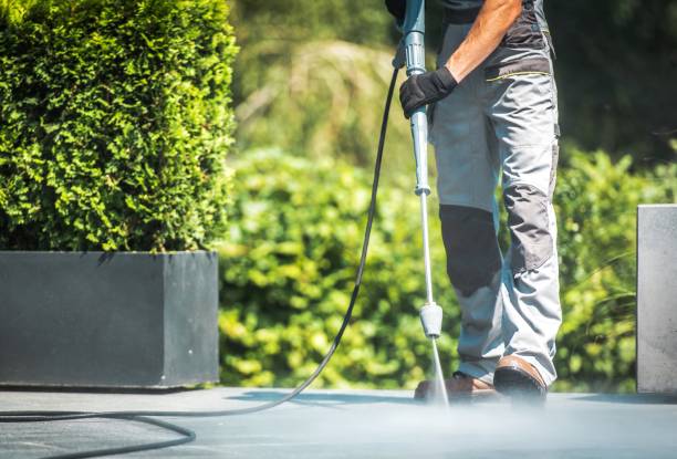 Best Driveway Pressure Washing  in North Plymouth, MA