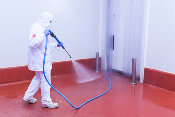 Best Solar Panel Cleaning  in North Plymouth, MA